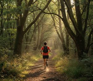 Sentier de trail dans le Cantal près de Madic