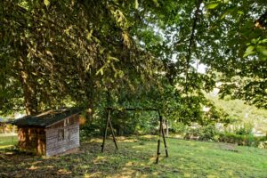 Terrain de devant sous les arbres